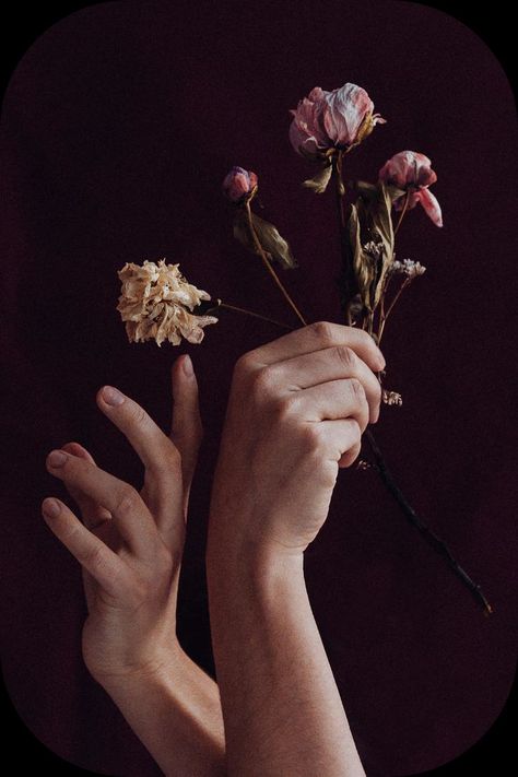 Hands Holding Flowers, Hand Photography, Desain Editorial, Hand Drawing Reference, Hand Reference, Human Reference, Hands Holding, Holding Flowers, Body Reference