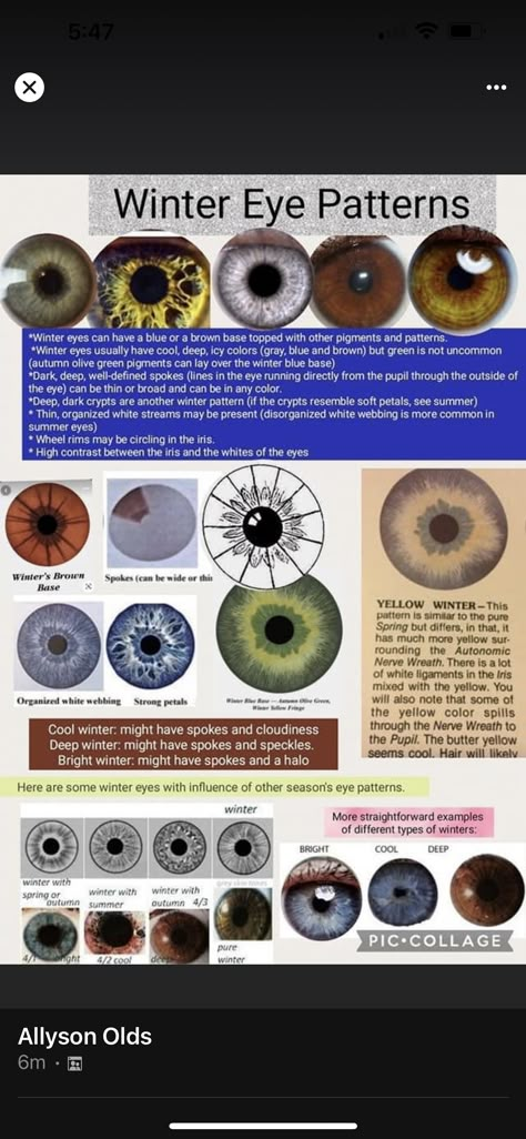 Winter Eye Pattern Color Analysis, Color Season Eye Pattern, Season Color Pallete, Winter Eye Pattern, Color Analysis Eye Pattern, Eye Pattern Color Analysis, Toad And Frog, 12 Season Color Analysis, Winter Color Season