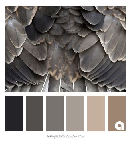 Grey And Black Color Schemes, Dark Grey Beige Color Palette, Colors To Pair With Gray, Gray White Brown Color Palette, Charcoal Colour Scheme, Charcoal Grey Colour Palette, White Cream Grey Black Color Palette, Grey Color Palettes, Charcoal Color Palette