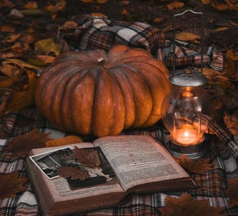 Moody Pumpkins, Candles Gothic, Thanksgiving Icons, Nature Goth, Fall Witch, Fall Icons, Warm Halloween, Coffee Winter, October Girl