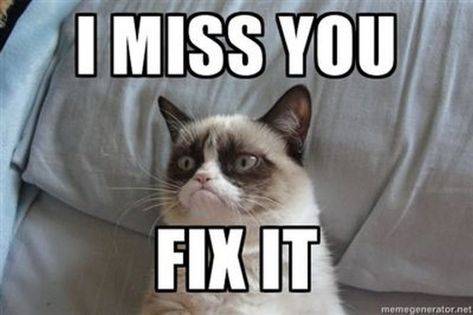 Missing You Memes, Grumpy Cat Meme, Miss You Funny, Sf Wallpaper, Cat Advice, I Miss You Quotes, Grumpy Cat Humor, Wallpaper Collage, Angry Cat