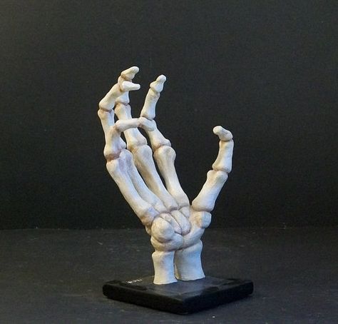 skeleton hand Skeleton Hand Sculpture, Skeleton Of Hand, Air Dry Clay Skeleton, Skeletal Hand Reference, Clay Skeleton Hand, Clay Bones Sculpture, Skeleton Polymer Clay, Clay Skeleton Sculpture, Sketelon Hand