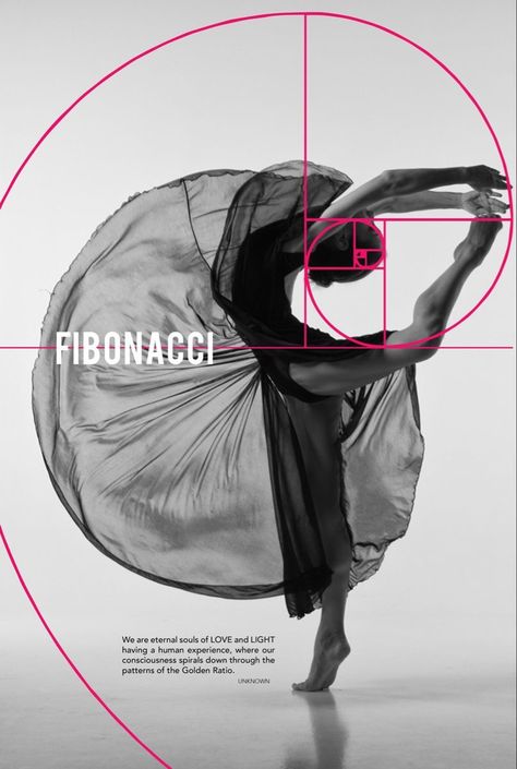 Fibonacci Design, Golden Ratio Art, Fibonacci Art, Fibonacci Number, Photography Rules, Golden Spiral, Fibonacci Sequence, Fibonacci Spiral, Photo Composition