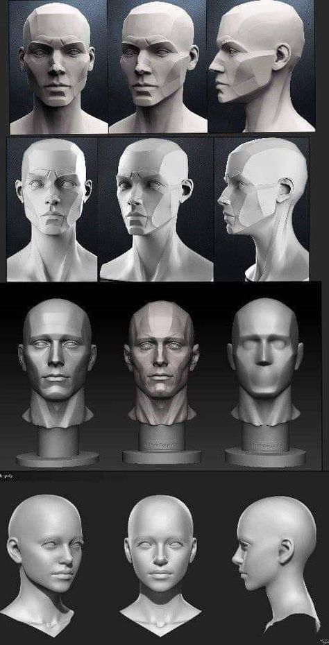 Design A Character, Designing Characters, Planes Of The Face, Head Anatomy, Face Structure, Figurative Kunst, Face Anatomy, Anatomy Sculpture, 얼굴 드로잉