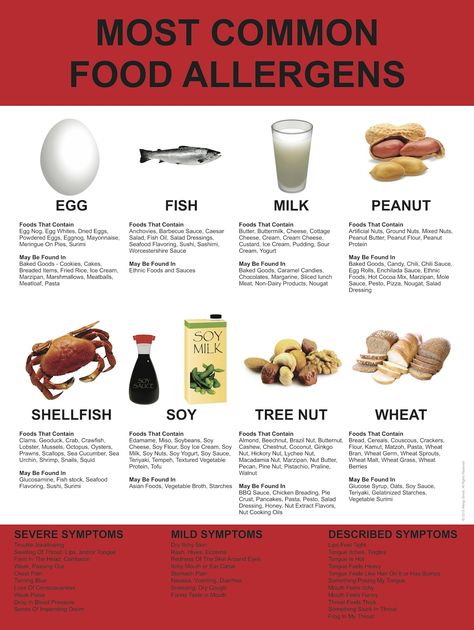 Just launched - Our Most Common Food Allergen Poster. Designed for schools, restaurants, and any public facility with potential food allergen contact. Please visit AllergySmart.org for more information. Allergy Free Snacks, Food Allergies Awareness, Allergy Awareness, Restaurant Service, Food Allergens, Free Snacks, Camp Cooking, Mixed Nuts, Chili Sauce