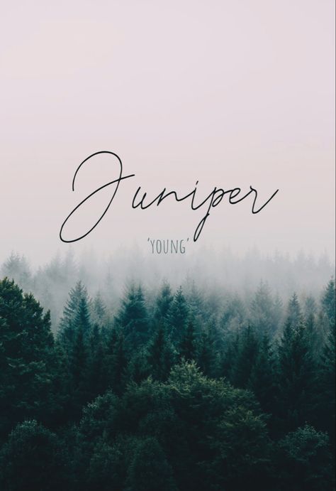 Juniper Name, Unique Words, Baby Name, Names With Meaning, Baby Names, Kids And Parenting, Meant To Be, Parenting