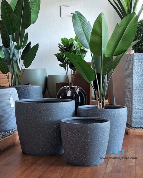 The Modern Tapering Bowl Shaped FRP Planter With Its Handcrafted Stone Finished Body Adds A Unique And Minimalistic Touch To Any Spaces. Showcase Your Favorite Plants In Style And Bring A Touch Of Natural Charm To Your Interior. Using Fiberglass Planters In Your Plantscaping Designs Is A Great Way To Enhance The Beauty Of Any Indoor Or Outdoor Landscape. Their Durable, Commercial Grade Construction And Vast Color Choices Make Fiberglass Plant Containers An Interiorscape And Exterior Landscapi... Plant Containers, Fiberglass Planters, Outdoor Landscape, Outdoor Landscaping, Container Plants, Color Choices, The Modern, Bowl, Exterior