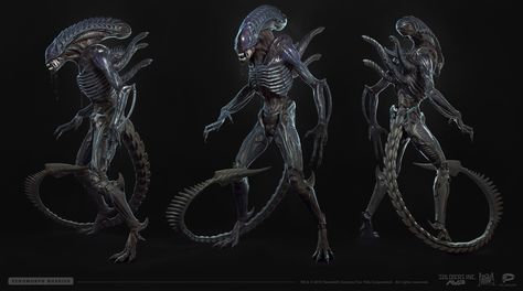 Xenomorph warrior , Stanislav Ostrikov on ArtStation at https://www.artstation.com/artwork/GkJga Xenomorph Reference, Xenomorph Costume, Xenomorph Art, Alien Isolation, Alien Artwork, Alien Queen, Alien Tattoo, Arte Alien, Alien Character