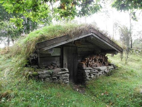 Neat woodlands retreat. Sod Roof, Earth Sheltered Homes, Earth House, Underground Shelter, Bushcraft Shelter, Sheltered Housing, Root Cellar, Earth Sheltered, Natural Homes