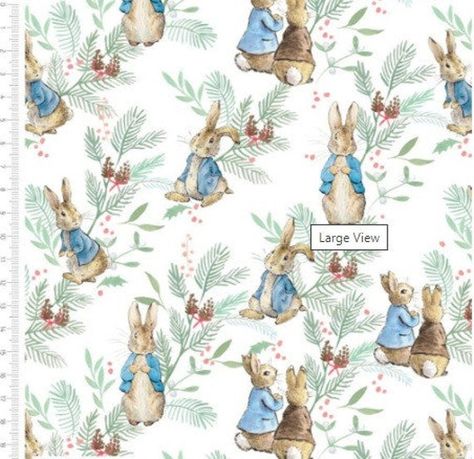 Peter rabbit characters