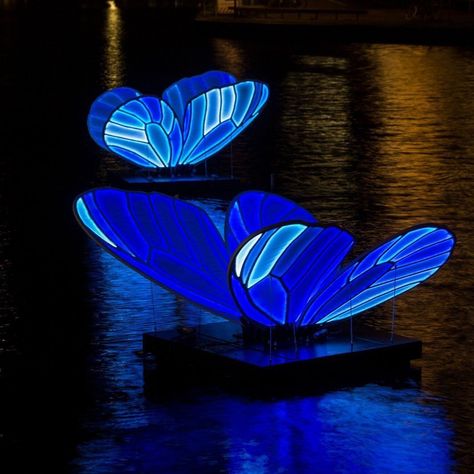 Amsterdam Light Festival, Glow Worm Cave, A History Of Magic, Landscape And Urbanism Architecture, Butterfly Light, Paving Pattern, Light Festival, Butterfly Lighting, Forest City