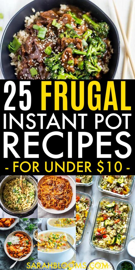 Easy Instant Pot Meals, Cheap Instant Pot, Instant Pot Meals, Large Families, Vegan Soup Recipes, Cheap Dinners, Instant Recipes, Instant Pot Dinner Recipes, Greek Chicken