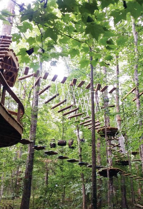 Tennessee Knoxville, Fun Park, Tennessee Travel, Cool Tree Houses, Tennessee Vacation, Cheap Flight, Cheap Flight Tickets, Flight Tickets, Fairy Queen