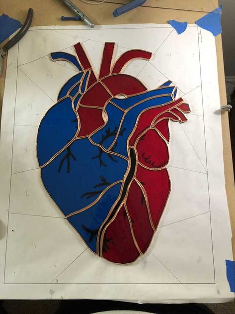 Stained glass anatomical heart - Imgur Stained Glass Heart Patterns, Anatomical Heart Art, Stained Glass Tattoo, Stained Glass Heart, Stained Glass Cookies, Stained Glass Birds, Stained Glass Decor, Stained Glass Ornaments, Stained Glass Diy