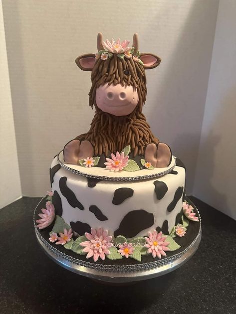 Brown Cow Print Cake, Cow Print Cake, Cow Print Cakes, Brown Cow Print, Brown Cow, Cowgirl Birthday, Cow Boy, Cow Print, Cow