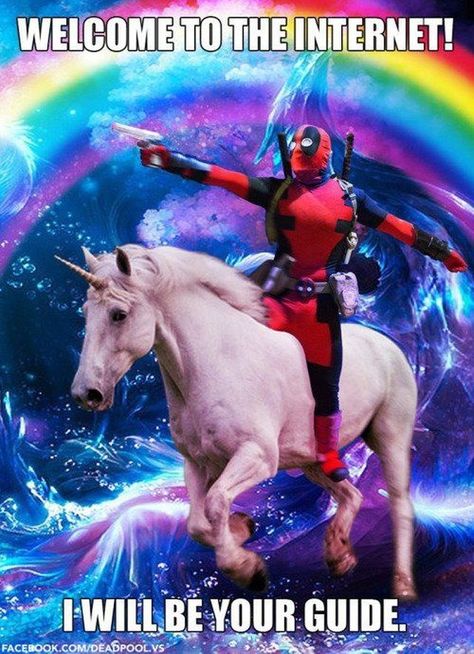 20 Ridiculous Unicorn Memes That Will Make You Laugh - CheezCake - Parenting | Relationships | Food | Lifestyle Unicorn Memes, Deadpool Y Spiderman, Deadpool And Spiderman, Maximum Effort, Pool Pool, Dead Pool, One Night Stand, Dc Memes, Marvel Memes