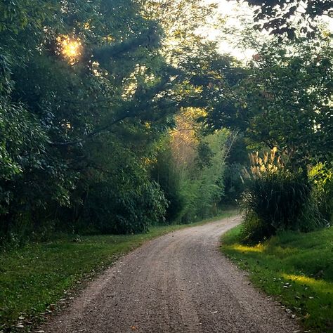 Pathway Aesthetic, Path Aesthetic, Trail Walking, Walking Path, Walks In Nature, Walking Trail, Running Trail Aesthetic, Trail Aesthetic, Long Walks Aesthetic