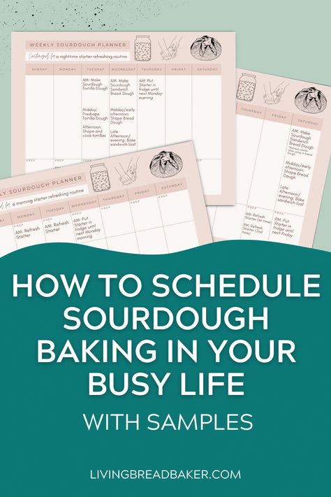 How to Schedule Sourdough Baking in Your Busy Life (Samples) - Living Bread Baker Sourdough Schedule Ideas, Sourdough Bread Schedule, Sourdough Baking Schedule, Sourdough Schedule, Tortilla Dough, Easy Sourdough Bread Recipe, Baked Sandwiches, Biscuit Pizza, Making Sourdough Bread