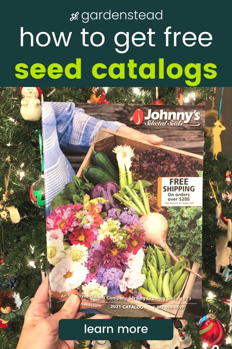 Seed catalogs are the adult version of Christmas toy catalogs. Don’t have any seed catalogs in your mailbox yet? Find out where and how to get your hands on free seed catalogs. #vegtablegarden #seedstarting #seeds #seedcatalogs #vegetableseeds #gardening #gardenblogger #veggiegarden #vegetablegardening #wintergardening #lifestyle #nature #december #gardenstead