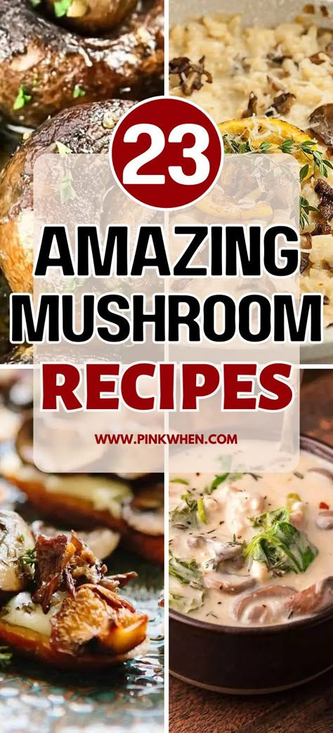 Dinner Recipes Mushrooms, Meal With Mushrooms, Delicious Mushroom Recipes, Supper Ideas With Mushrooms, Recipes That Use Mushrooms, Cook Mushrooms, Assorted Mushrooms Recipe, Different Ways To Cook Mushrooms, Dish With Mushrooms