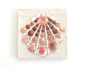 House Decor Pink, Seashell Mosaic, Natural Wall Art, Seashell Art Diy, Scallop Seashell, Turtle Wall Decor, Pink Seashell, Turtle Wall Art, Seashell Wall Art