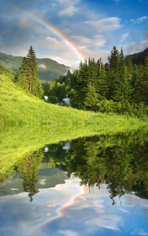 Rainbow over forest. Landscape with forest and rainbow , #affiliate, #forest, #Rainbow, #rainbow, #Landscape #ad Rainbow Landscape, Rainbow Forest, Rainbow In Nature Photography, Waterfall Rainbow, Rainbow Waterfall, Rainbow In Sky Nature, Vertical Landscape, Beautiful Forest, Easy Diy Art