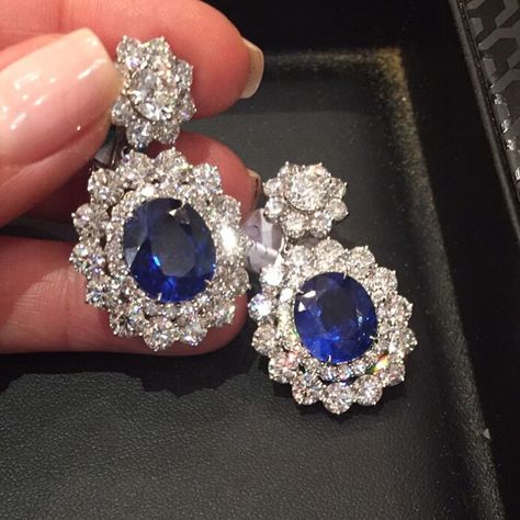 Sapphire Diamond Earrings, Real Diamond Earrings, Blue Sapphire Jewelry, Sapphire And Diamond Earrings, Expensive Jewelry Luxury, Expensive Jewelry, Royal Jewelry, Sapphire Earrings, Sapphire Jewelry