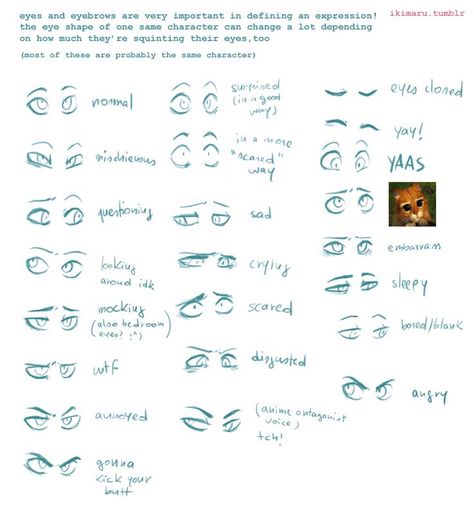 Eyebrow Expressions // Ikimaru Realistic Eye Drawing, Eye Expressions, Types Of Eyes, Drawing Expressions, Drawing Reference Poses, Eye Drawing, Drawing Tips, Art Tips, Drawing Techniques