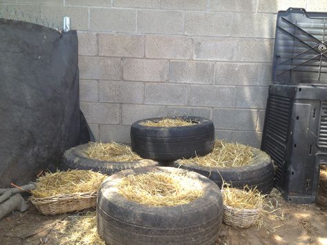 Created another use for these old tires.....duck nests! We'll see what they think. Tires For Chicken Coop, Tire Nesting Boxes For Chickens, Tire Chicken Nesting Boxes, Tire Nesting Boxes, Duck Nesting Boxes, Duck Enclosure, Happy Chickens, Backyard Ducks, Duck Coop