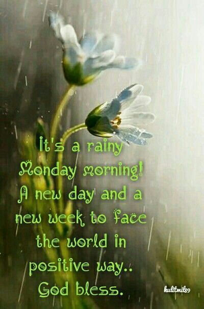 Rainy Day Monday Quotes, Rainy Monday Morning Rain, Happy Rainy Monday Mornings, Rainy Monday Morning Quotes, Good Morning Rainy Sunday, Good Morning Rainy Monday, Rainy Monday Quotes, Rainy Sunday Morning Quotes, Good Morning Rainy Day Quotes