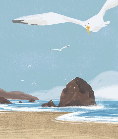 Seagull Illustration, Ocean Illustration, Beach Drawing, Sea Illustration, Cannon Beach Oregon, Beach Illustration, Pottery Painting Designs, Picture Books Illustration, Background Drawing