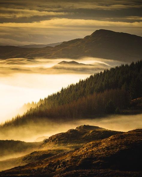 A misty start to the day above Loch Awe yesterday, hard to drag yourself away to work when the views are this good... Loch Awe, To Work, Scotland, The Day, Natural Landmarks, Travel, Instagram