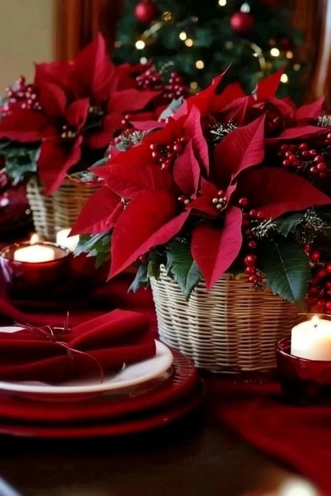 7 Christmas Table Centerpieces Poinsettia, Poinsettia Table Centerpiece, Poinsettia Centerpiece Table Decorations, Pointsetta Centerpieces Christmas, 16 Centerpiece Ideas, Poinsettia Decorating Ideas, Poinsettia Centerpiece, Christmas Centerpiece Ideas, Crafts Table