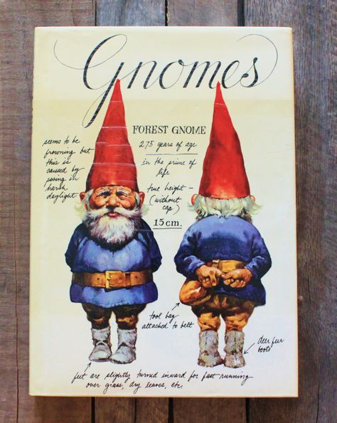 The Gnome Book Vintage Gnomes, Gnomes Book, David The Gnome, Book Drawing, Dutch Artists, Famous Books, Story Book, Online Shops, Children's Book Illustration