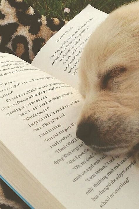 Animal Book, Dog Books, The Fault In Our Stars, Reading A Book, The Grass, Love Reading, Book Aesthetic, Love Book, Book Nerd