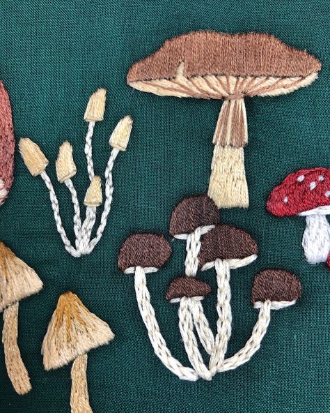 Neon, pastels, neutrals- Are there any wrong colors for mushrooms?⁠ ⁠ I think not!⁠ ⁠ Join me at @monstermonstershop on August 13 to learn how to embroider mushrooms!⁠ ⁠ This two hour, hands-on workshop covers a variety of beginner-friendly embroidery stitches such as the satin stitch, back stitch, reverse chain stitch, long and short satin stitch, and French knot. ⁠ ⁠ You’ll receive a full kit in class that includes a wooden embroidery hoop, mushroom transfer designs, an embroidery needle, f... Embroidered Mushrooms, Mushroom Patterns, Learn To Embroider, Mushroom Designs, Embroidery Workshop, Learning To Embroider, Wooden Embroidery Hoops, Fiber Artist, Hand Embroidery Art