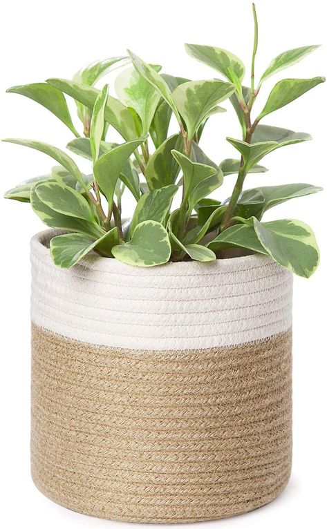 Beige Garden, Rope Plant, Planter Cover, Closet Storage Bins, Pot Storage, Indoor Flower Pots, Jute Basket, Coiled Baskets, Decorated Flower Pots