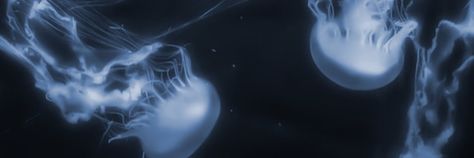 Ocean Banner Aesthetic, Aquarium Header Twitter, Dark Blue Notion Header, Navy Blue Widgets Long, Jellyfish Aesthetic Banner, Dark Blue Medium Widget, Dark Blue Widget Medium, Jellyfish Discord Banner, Dark Blue Header Aesthetic