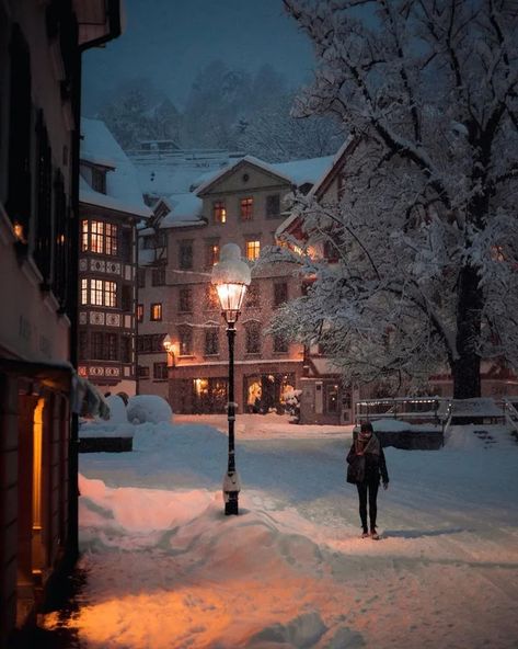 St Gallen Switzerland, St. Gallen, Landscaping Images, Ethereal Aesthetic, Snow Covered Trees, Snowy Day, Snow And Ice, Photography Pictures, Oh The Places Youll Go