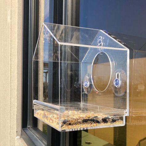 Clear Bird House, Window Birdfeeder, Catio Furniture, Recycled Window, Acrylic Accessories, Window Bird Feeder, Pet Decor, Bird House Feeder, Bday List