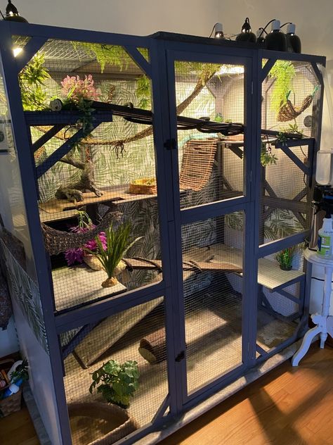 Iguana Cage Ideas, Iguana Enclosure Ideas, Rat House Diy, Python Enclosure Ideas, Iguana Enclosure, Large Reptile Enclosure, Diy Iguana Enclosure, Snake Enclosure Aesthetic, Lizard Enclosure