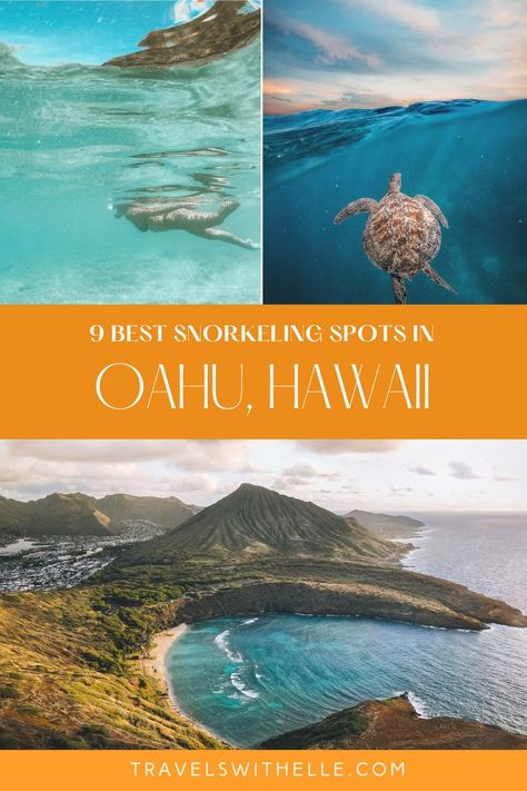 9 Best Snorkeling In Oahu Best Snorkeling In Oahu, Hawaii Snorkeling, Hawaii Vacation Tips, Hawaii Hikes, Hawaii Travel Guide, Best Snorkeling, Usa Travel Guide, Hawaii Vacation, Oahu Hawaii