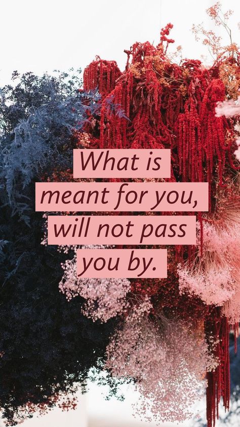 What is meant for you, will not pass you by. Patronise Me Quotes, Nothing That Is Meant For You Will Pass You By, What’s Meant For You Wont Pass You By, What Is For Me Will Not Pass Me, What Is For You Will Not Pass You, What Is Meant For You Will Not Pass You, Finding Yourself Quotes, Experience Quotes, You Shall Not Pass