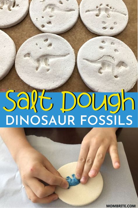 Fossil Activity, Dinosaur Crafts Kids, Toddler Entertainment, Fossils Activities, Dinosaur Crafts Preschool, Make Salt Dough, Dino Craft, How To Make Salt Dough, Dinosaur Activities Preschool