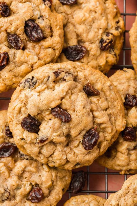 Paleo Oatmeal Raisin Cookies, Spicy Oatmeal, Gluten Free Oatmeal Raisin Cookies, Oatmeal Raisin Cookies Recipe, Raisin Cookies Recipe, Gluten Free Oatmeal Cookies, Cookie Recipes Oatmeal Raisin, Healthy Oatmeal Cookies, Gluten Free Oatmeal