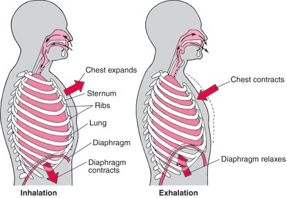 Picture Social Engineering, Belly Breathing, Art Of Manliness, The Better Man Project, Out Of Body, Singing Tips, Poor Posture, Breathing Techniques, The Orator