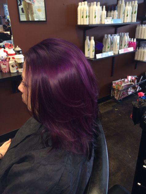 Manic Panic Purple Haze! By Natasha Norris Purple And Red Hair Ideas, After Midnight Manic Panic, Purple Hair Shades, Grape Purple Hair, Natural Purple Hair, Reddish Purple Hair, Midnight Purple Hair, Violet Purple Hair, Purple Red Hair