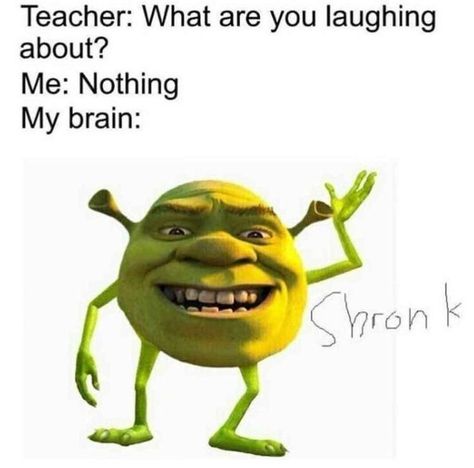 Memes #3 {completed} ✔︎ | Shrek memes, Funny disney memes, Funny relatable memes Shrek Memes Funny, About Your Teacher, Shrek Funny, Shrek Memes, Bored Funny, Funny Disney Memes, Mike Wazowski, Perfectly Timed Photos, School Memes