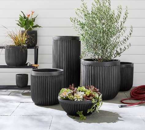 Concrete Fluted Planters | Pottery Barn Fluted Planter, Planters Pottery, Gift Wishlist, Black Planters, Fiddle Leaf Fig Tree, Patio Planters, Planter Design, Plant Ideas, Pottery Planters