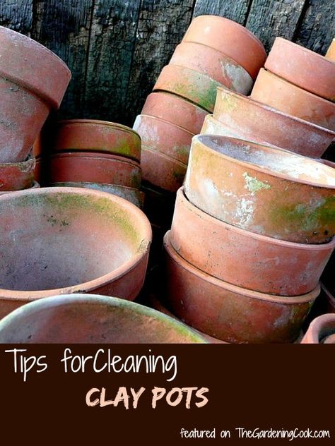 These tips for cleaning clay pots will make sure that your supplies are ready to use when spring comes next year. #claypots #gardenmaintenance Kitchen Window Herb Garden, Window Herb Garden, Aging Terra Cotta Pots, Flea Market Gardening, Terra Cotta Pots, Vinegar Uses, Terracotta Pots, Clay Pots, Terra Cotta